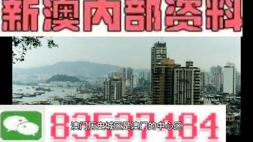 2024-2025澳门跟香港管家婆100%精准一肖三码中特,词语作答解释落实