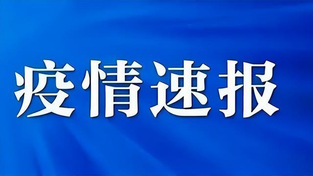 最新疫情速报，全球抗击新冠病毒的最新进展与挑战