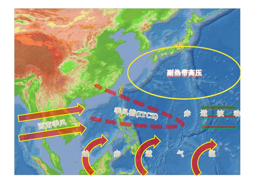 最新证据法书的发展与实际应用，探讨证据法的最新动态及其影响