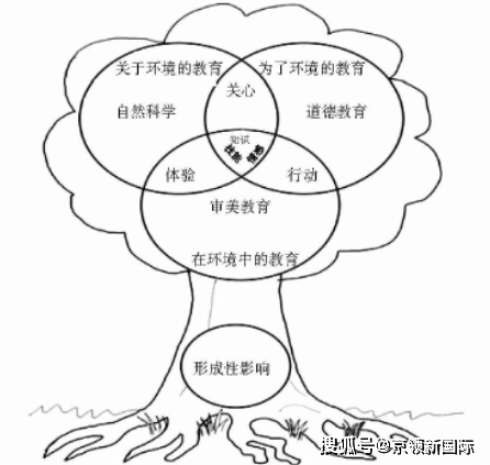 最新病毒危害，全球面临的严峻挑战