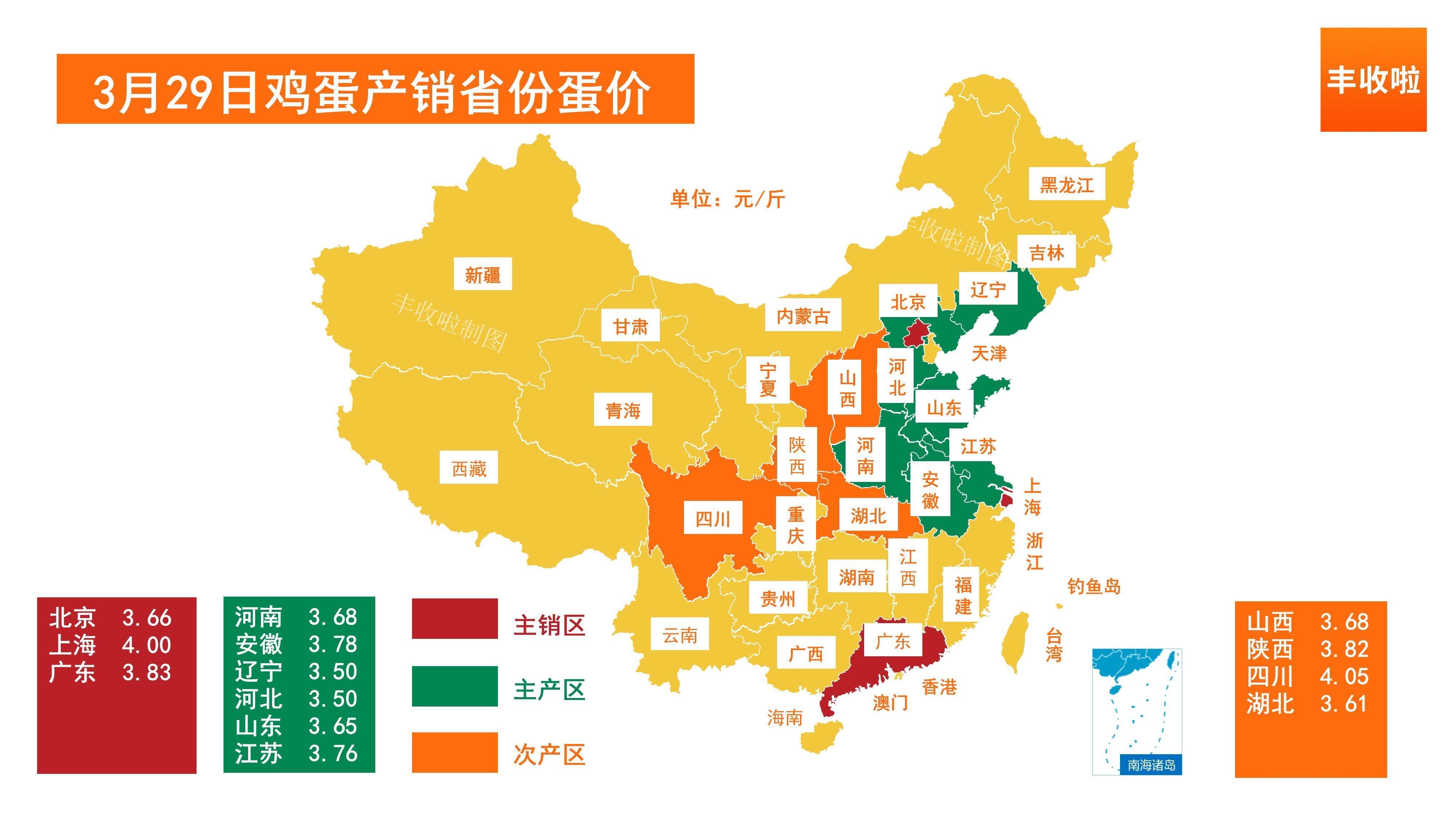 内地最新蛋价动态及市场影响分析