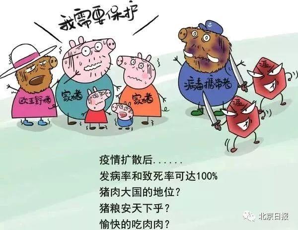 北京肉类疫情最新动态与防控措施