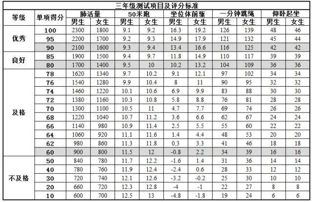 最新体测表及其在现代社会的重要性