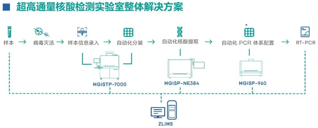 最新核酸检测视频技术，理解与应用