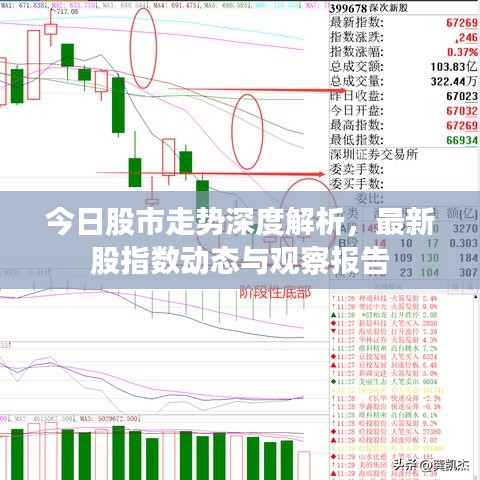 今天的股市最新动态与深度解读