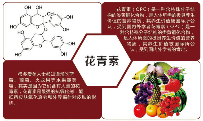 花青素最新的研究进展与应用