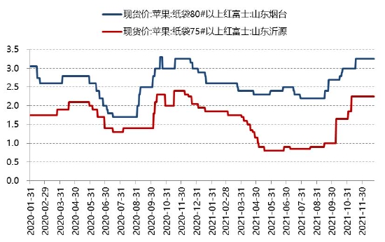 苹果五最新报价，市场走势与消费者关注点分析