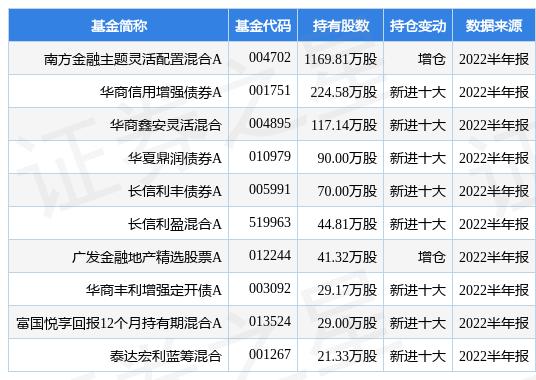 国联证券最新信息深度解析