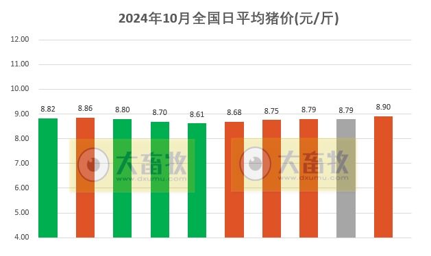 祥云最新猪价动态分析