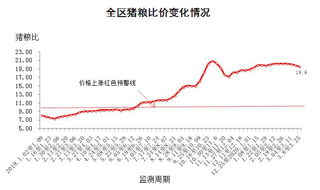 最新猪价早报，市场动态分析与趋势预测