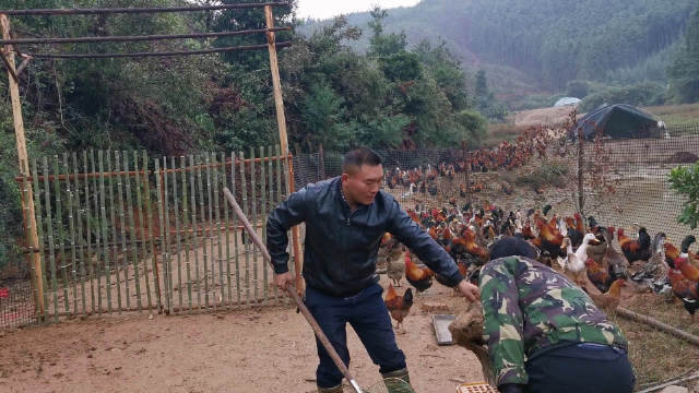 乡野小邓的最新风采