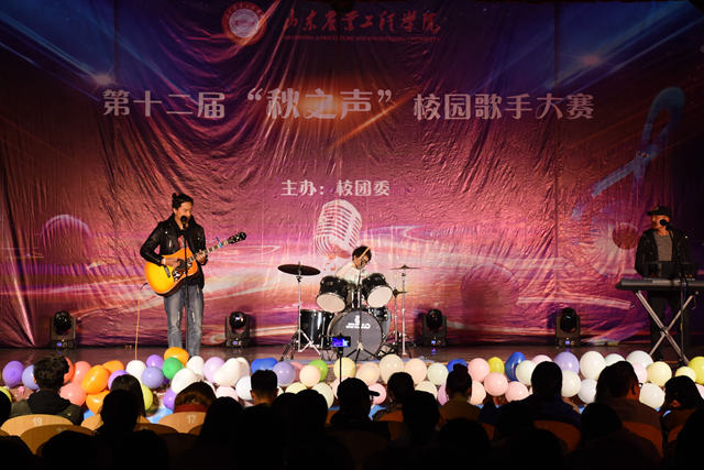 最新好声音歌手，音乐舞台上的璀璨新星