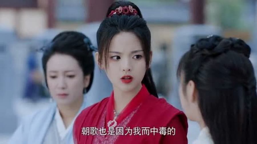 凤鸣朝歌最新动态，历史与未来的交响