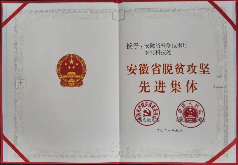 最新山东籍领导群体，引领与担当
