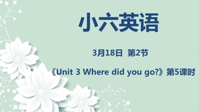 一集最新小说的魅力与启示