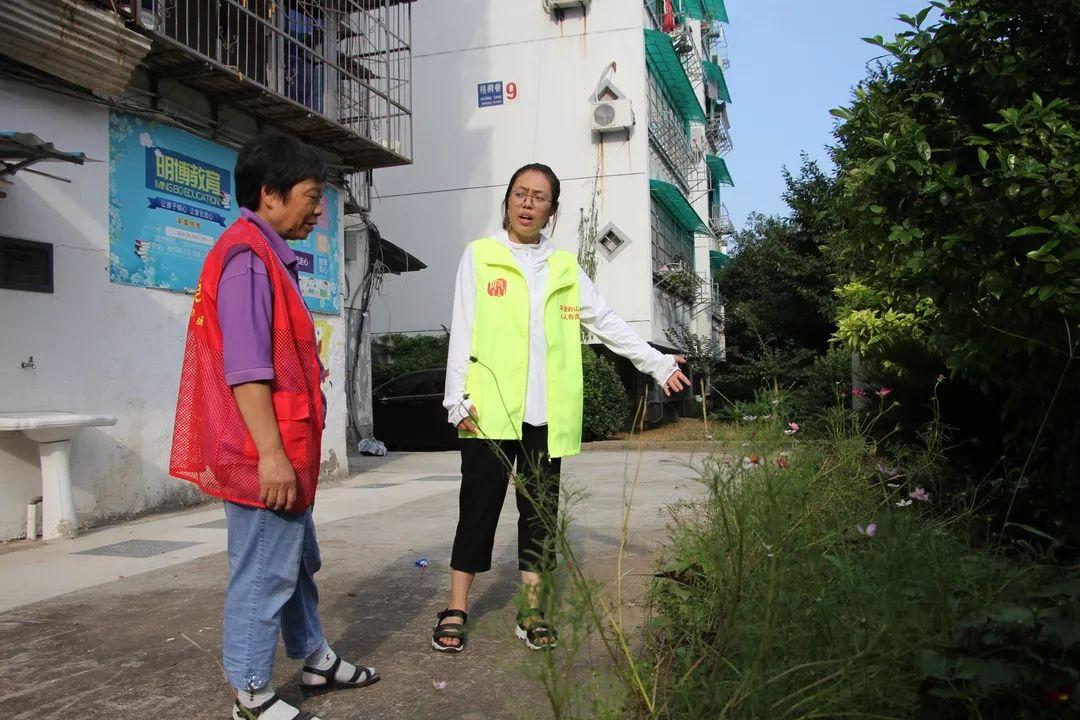 干巷最新招聘启事，探寻未来精英，共创辉煌明天