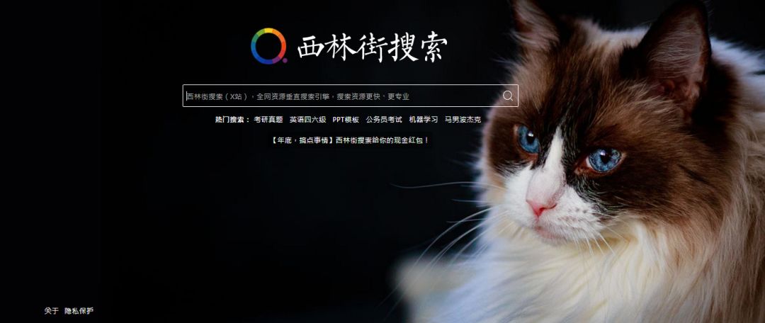 猫咪视频最新下载网址，精选资源一网打尽