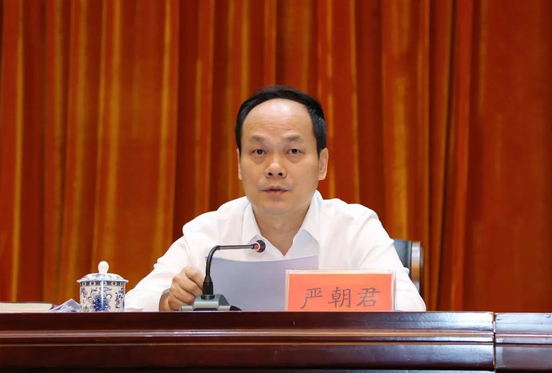 严朝君的最新职务及其职责与影响