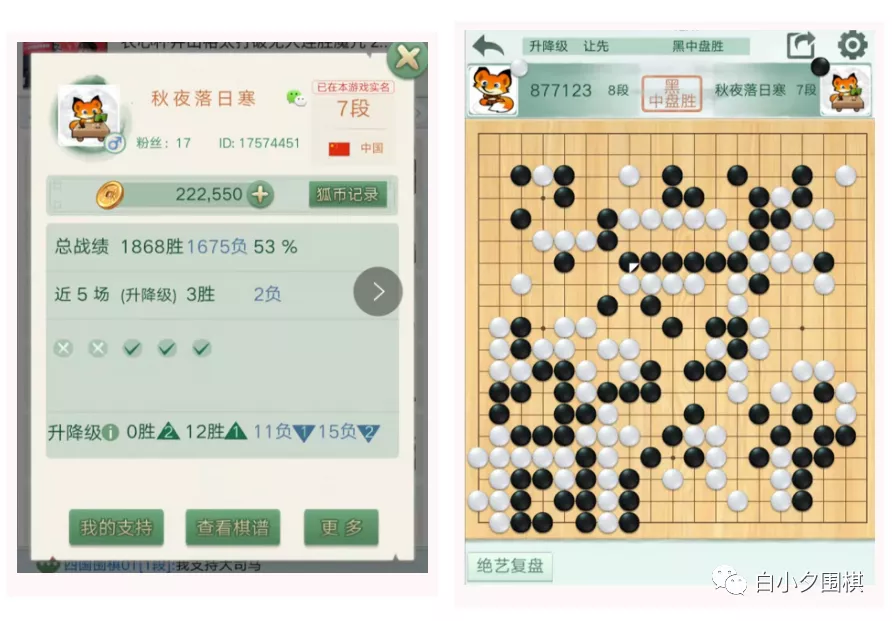 弈城5段最新动态，探索围棋新时代的先锋力量
