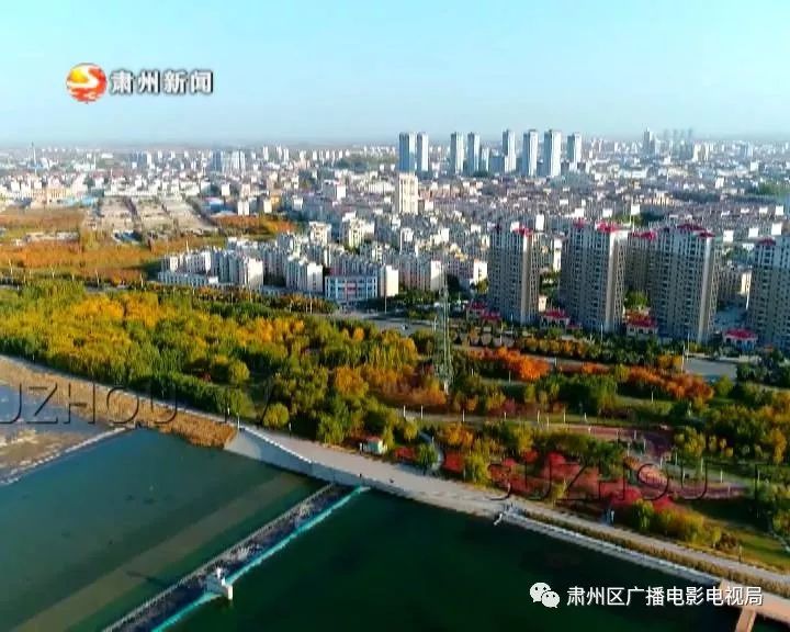 平鲁最新政策，推动区域发展，助力民生改善