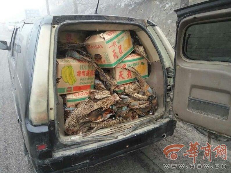 最新野外车震现象，探索与反思