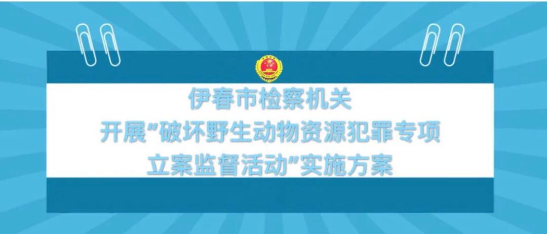 战双最新活动全面解析