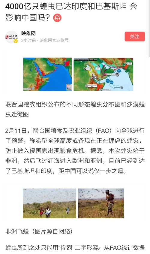 巴铁最新灭蝗行动，挑战与希望并存