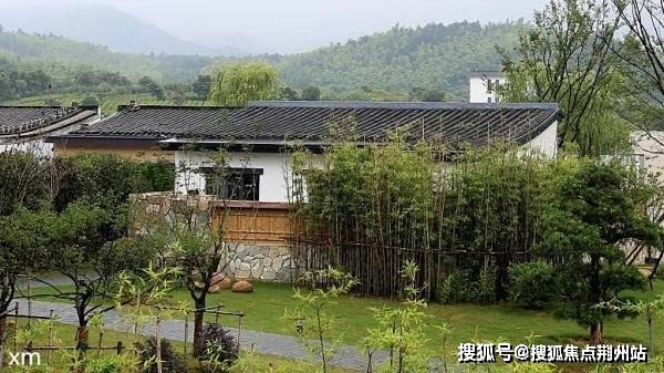 虐肠最新版，深度解析与探讨